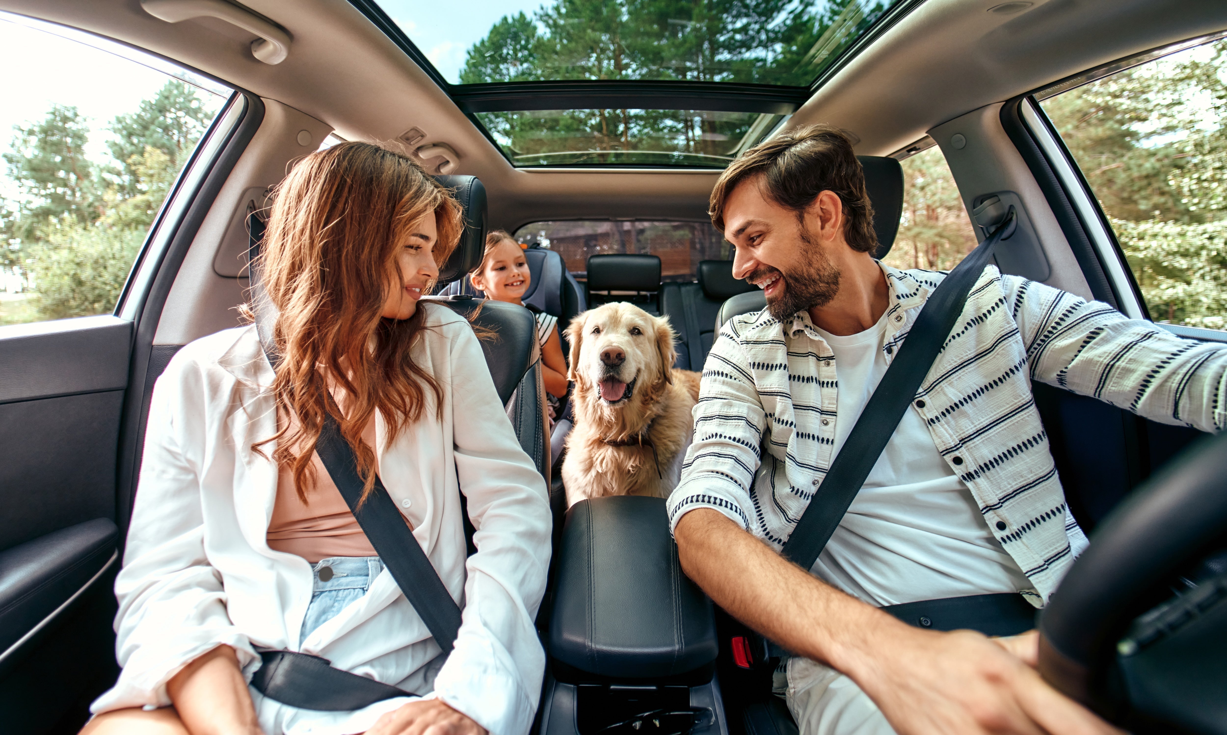 Voyager avec son chien : liste de choses à penser