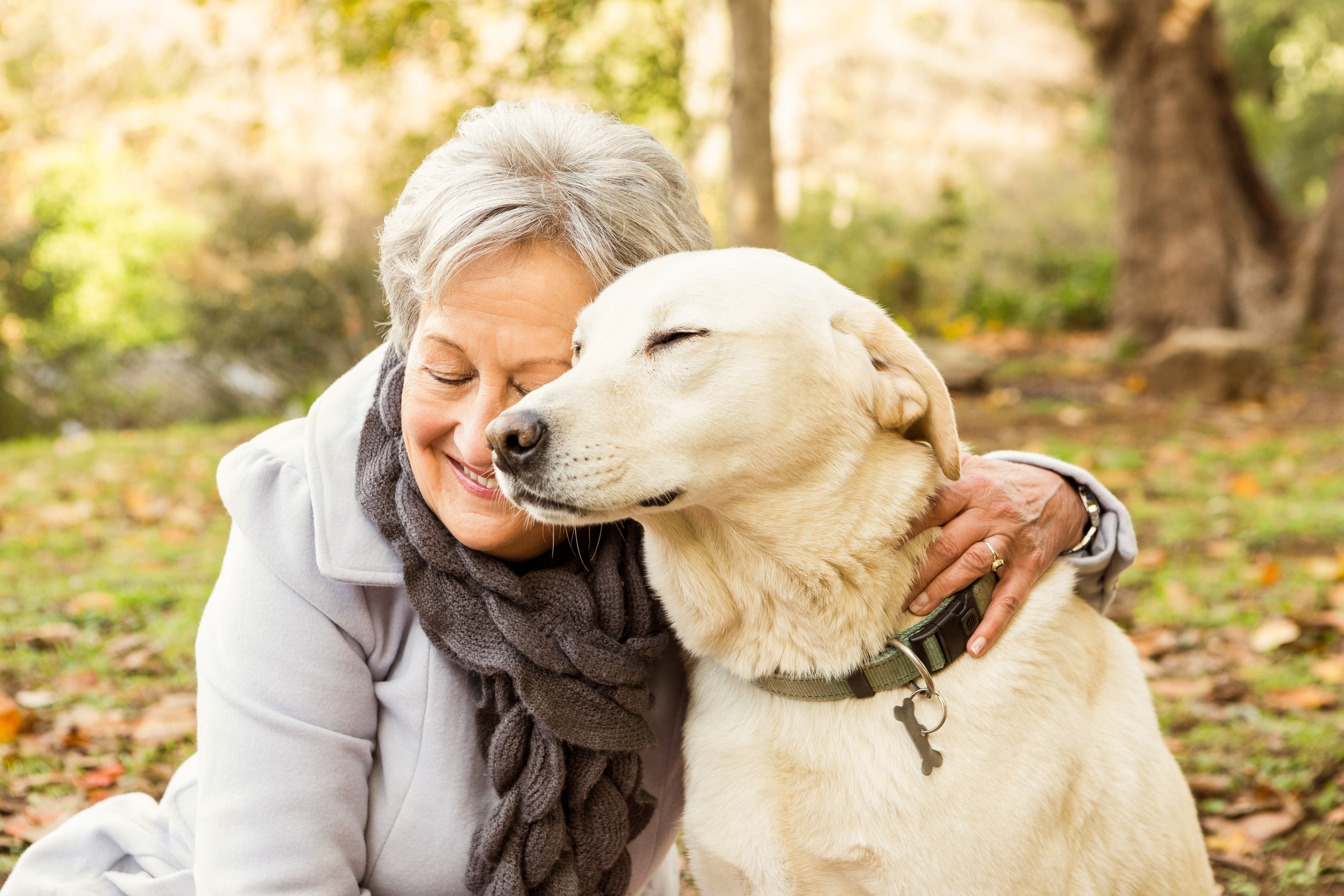 Pourquoi les chiens et les humains s’aiment-ils autant?