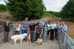 Le Bois de Belle Rivière: l'endroit parfait pour les chiens et leur maître