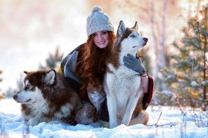 Protéger son chien des dangers de l'hiver