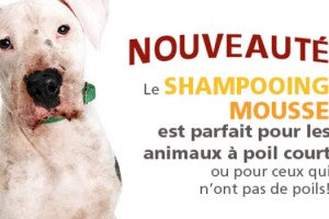 Saviez-vous que? Le shampoing mousse Zanimo...