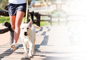 Pratiquer un sport avec son animal