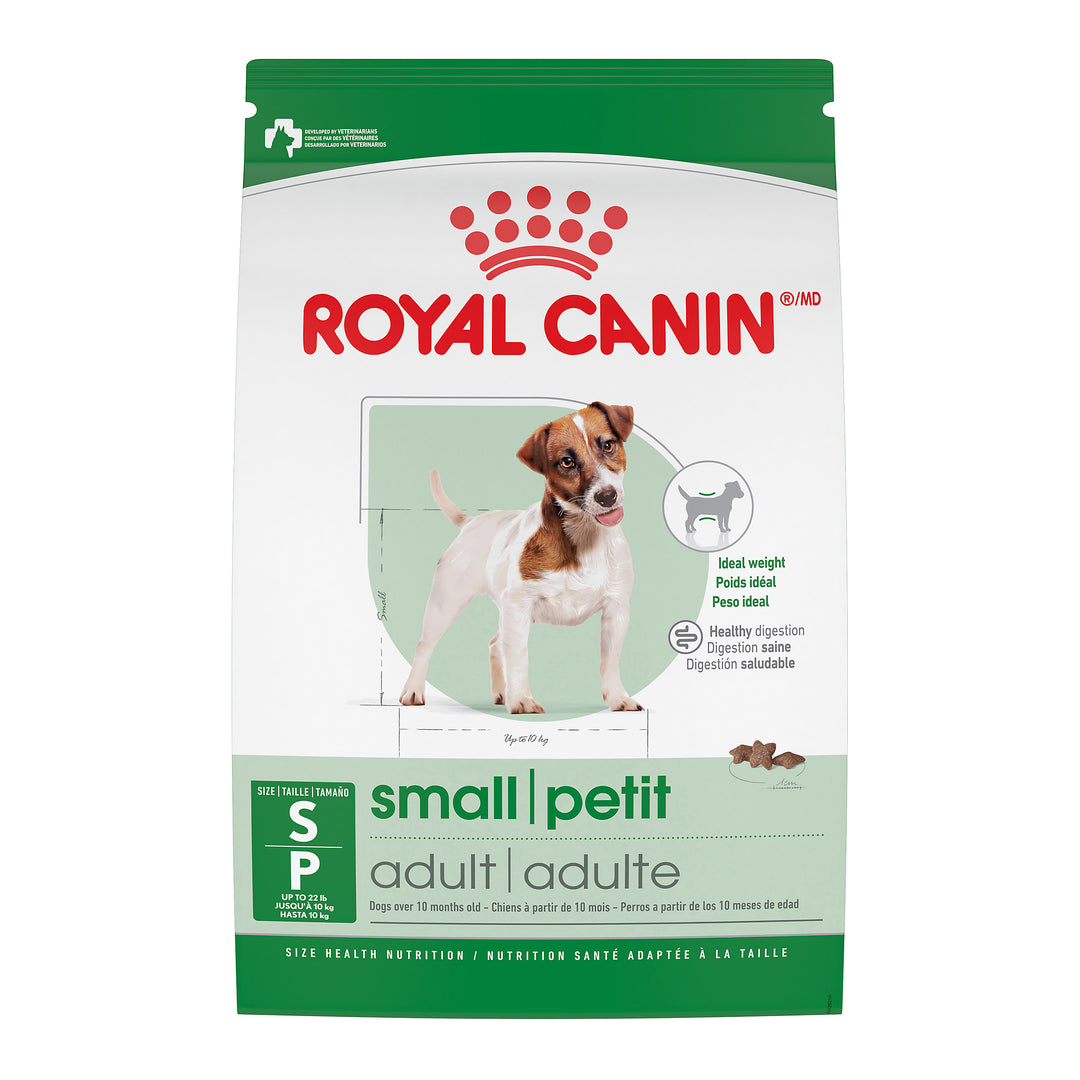 Royal Canin Chien Adulte Nourriture Sèche Petit