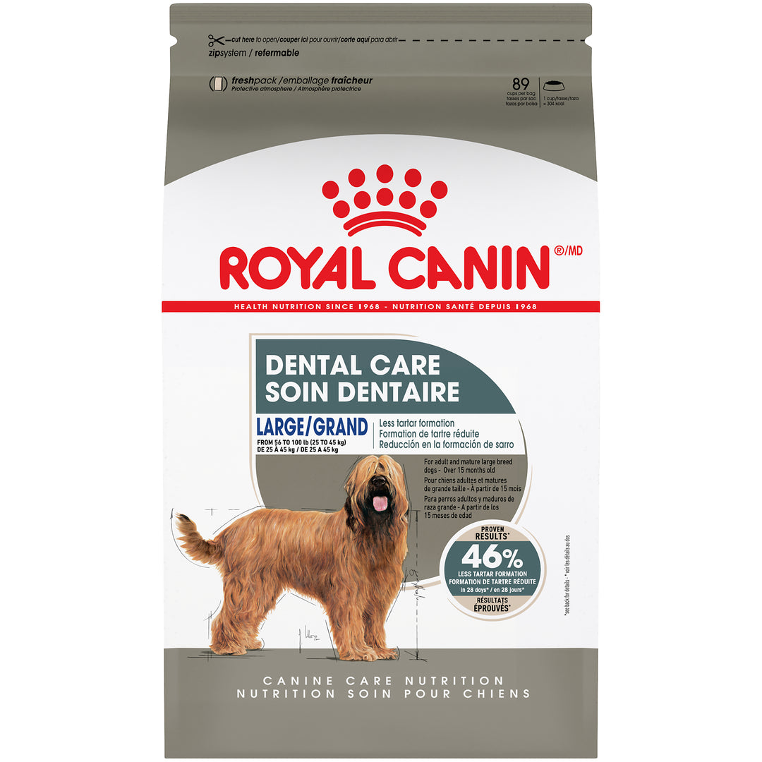 Royal Canin Chien Adulte Nourriture Sèche Grand (Soin Dentaire)