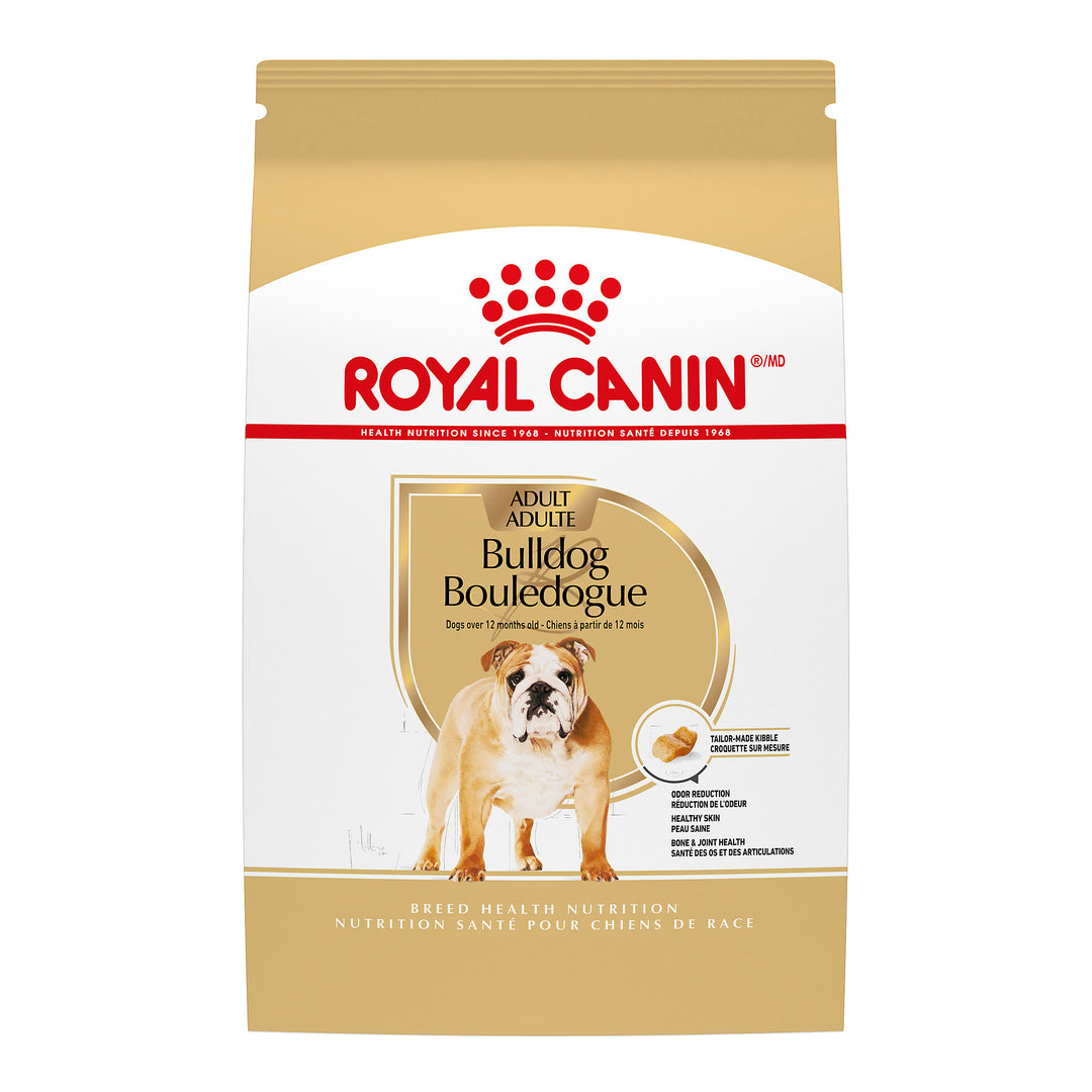 When to Switch to Adult Dog Food for English Bulldog: Expert Guide