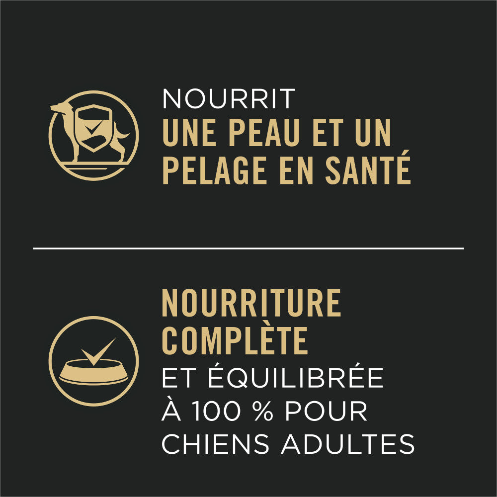 Purina ProPlan Adulte Complete Essentials Entrée de Dinde et de Légumes Tranches en Sauce Nourriture Humide pour Chiens