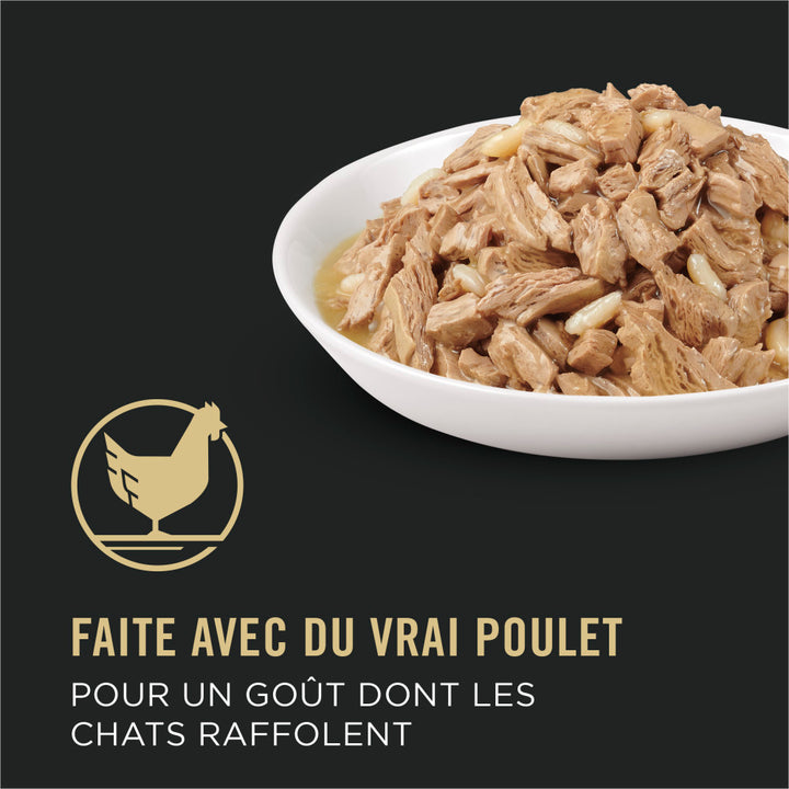 Proplan Chat Poulet