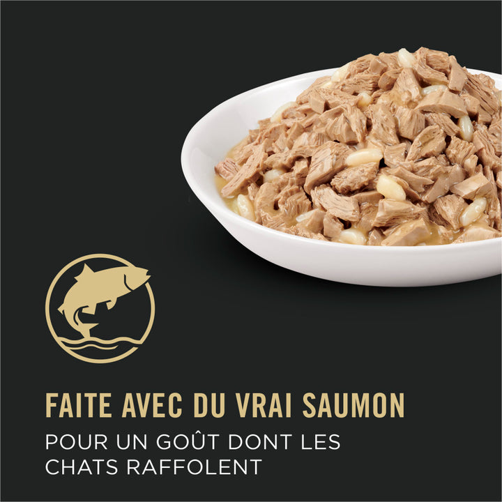 Proplan Chat Saumon