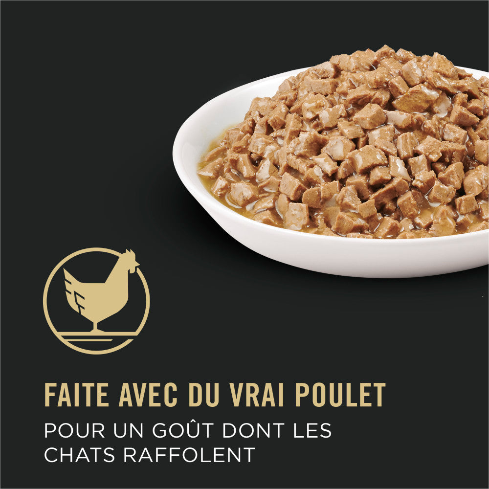 Proplan Système Urinaire En Santé Entrée De Poulet