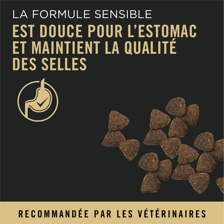 ProPlan Chien Peau & Estomac Saumon