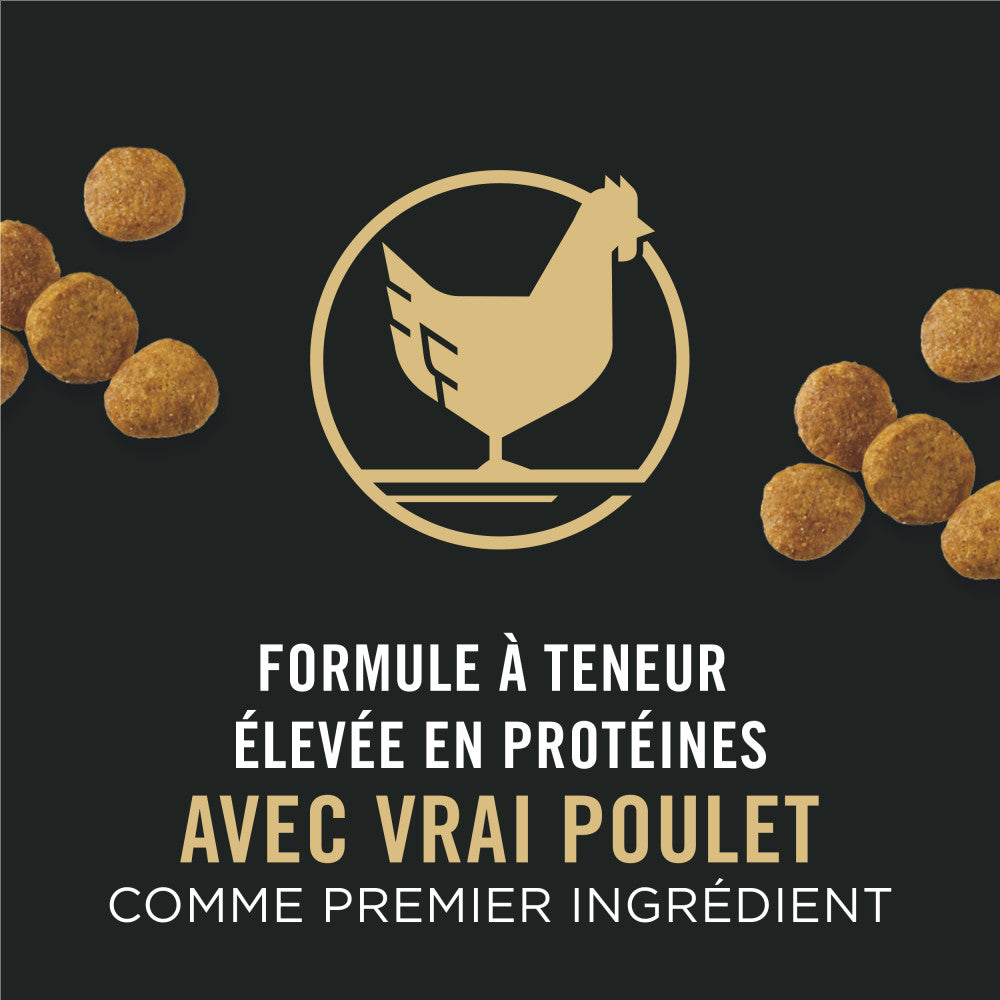 Proplan Chiot Poulet