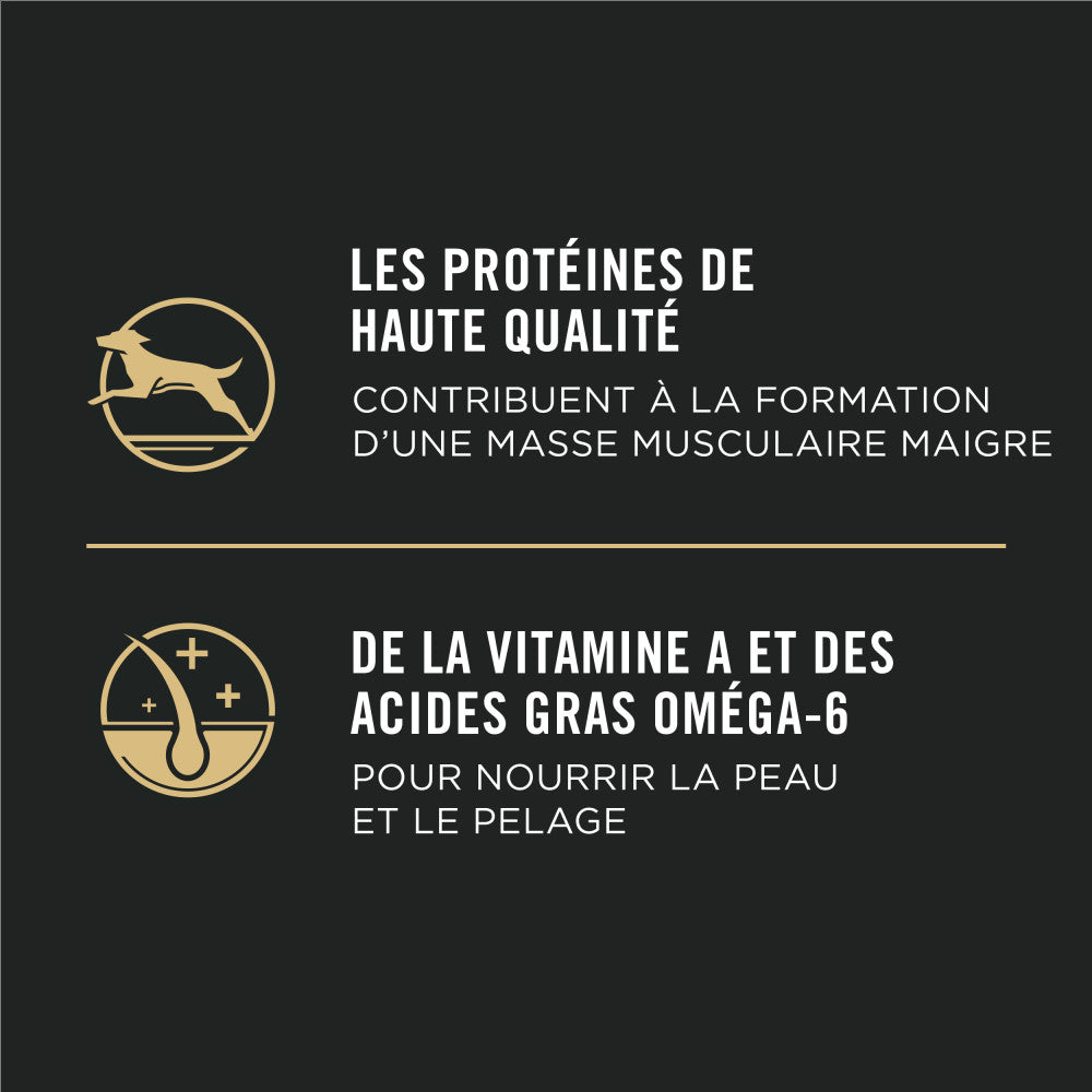 ProPlan Chiot Agneau et Riz