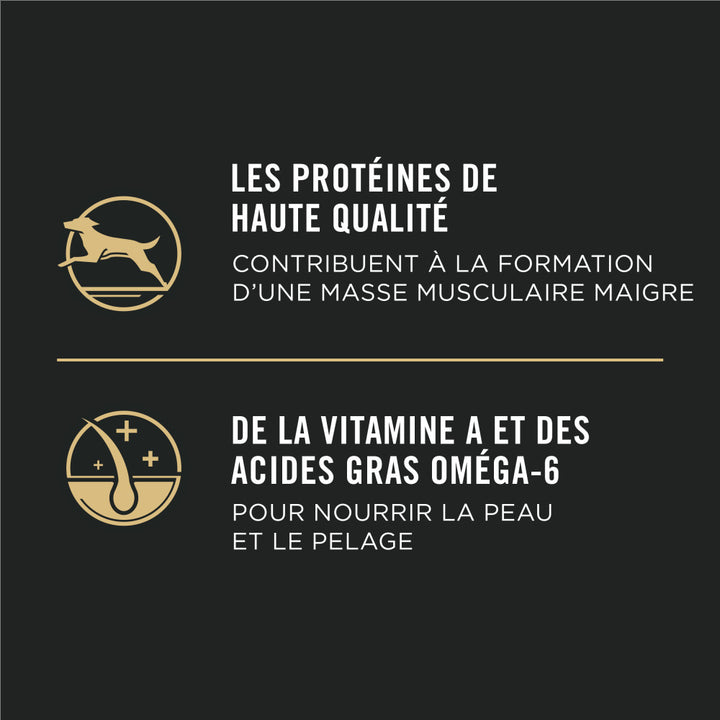 ProPlan Chiot Agneau et Riz