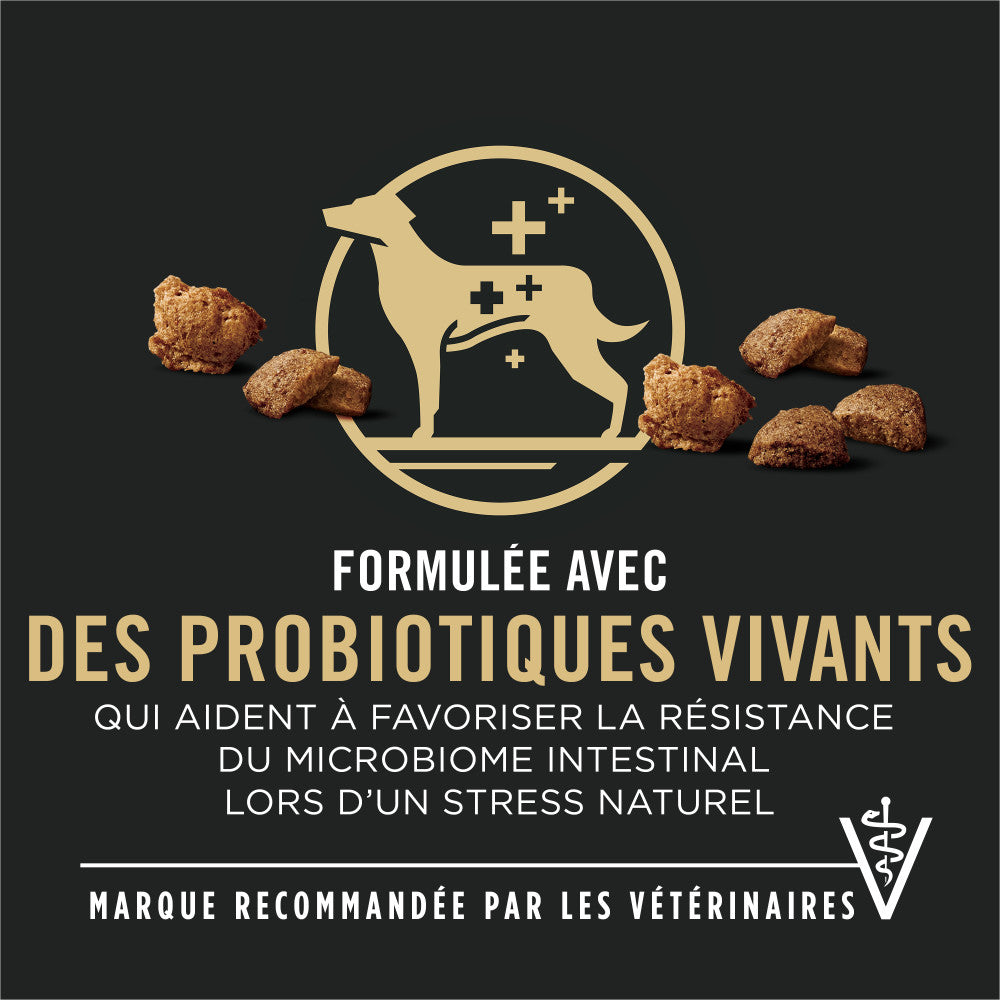 Proplan Chien Bouchees Agneau