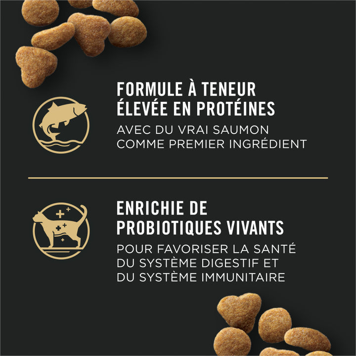 Proplan Chat D'Intérieur Saumon