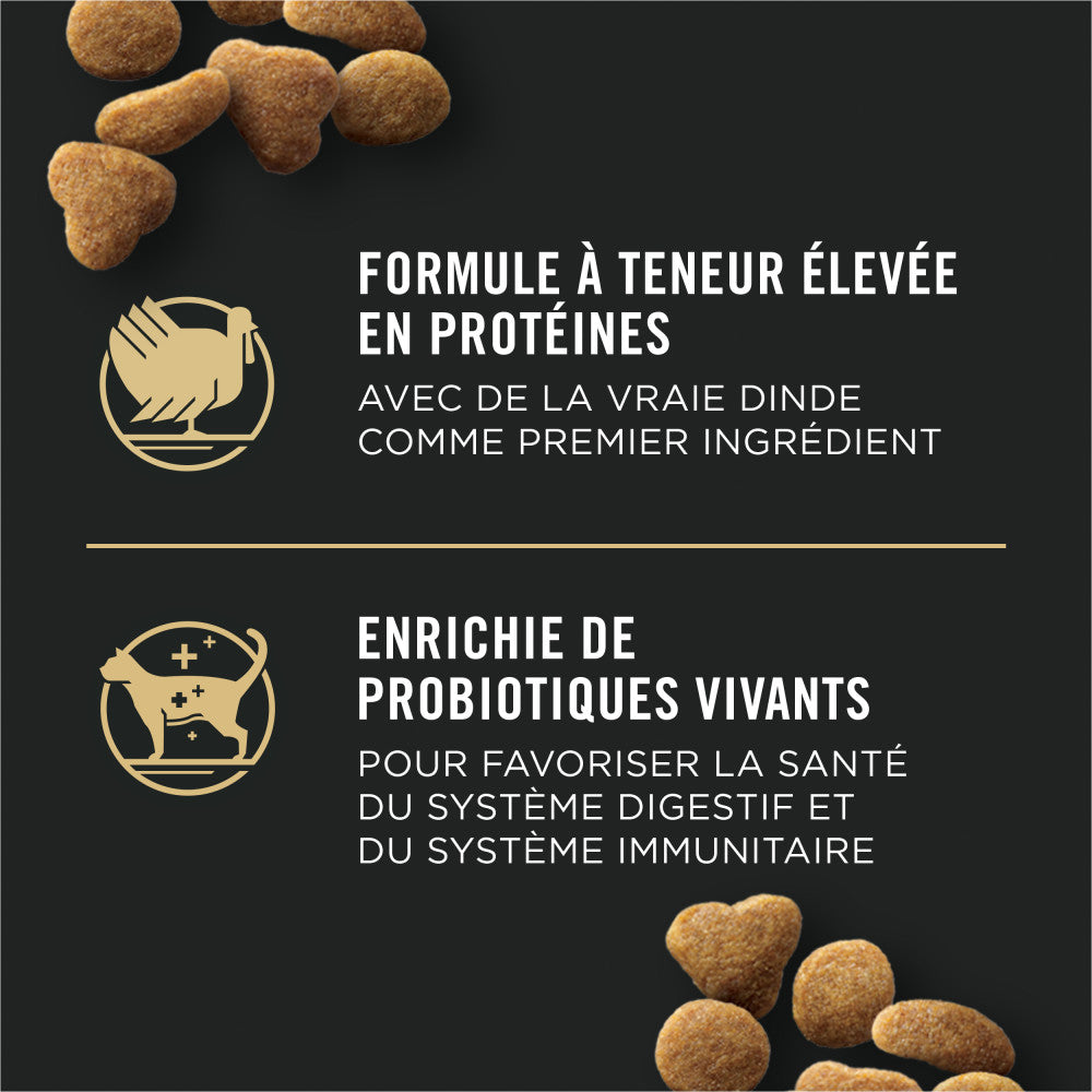 Proplan Chat D'Intérieur Dinde