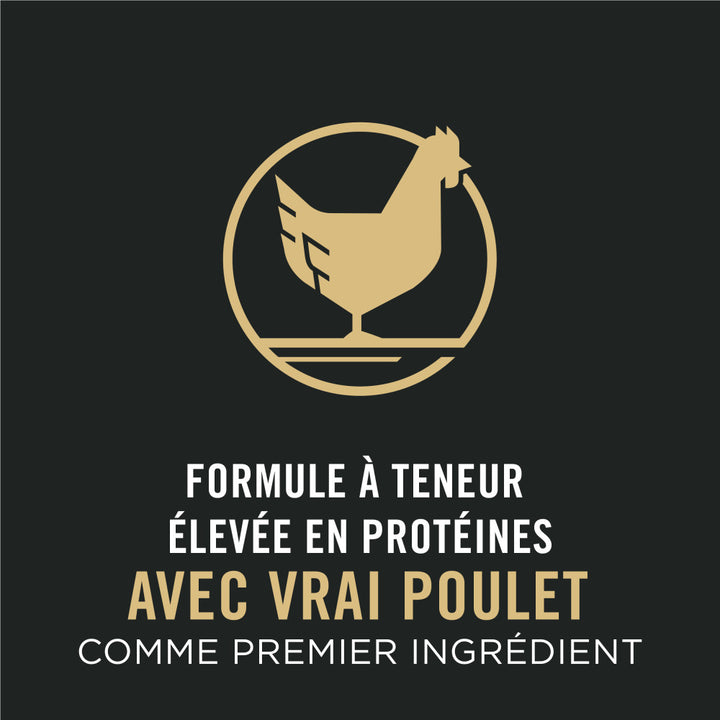 Proplan Chien Petite Race Poulet