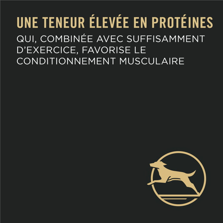 Proplan Chien Lg Race Poulet