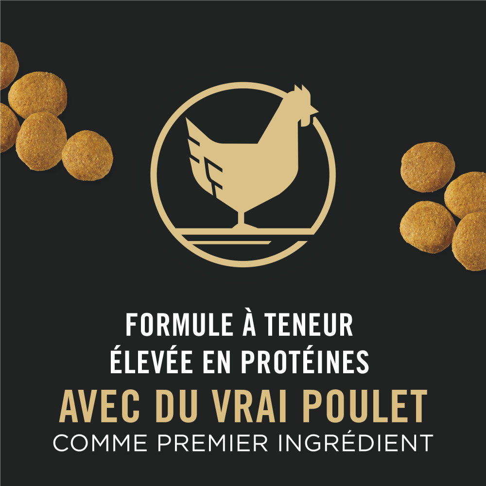 Proplan Chien Lg Race Poulet