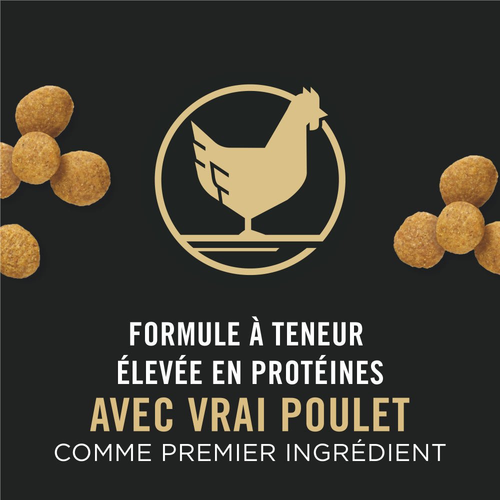 Proplan Chiot Grande Race Poulet