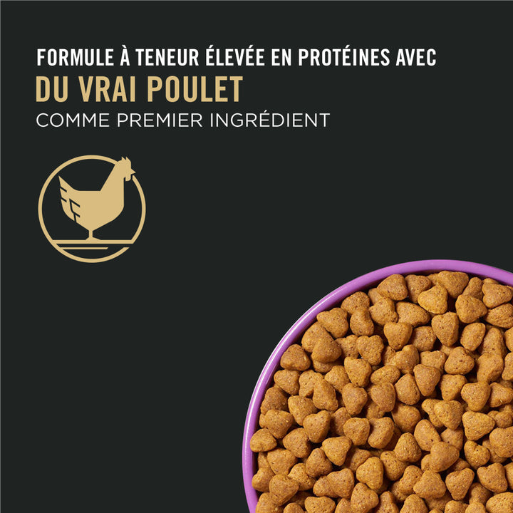 Proplan Chien Performance Poulet 30/20