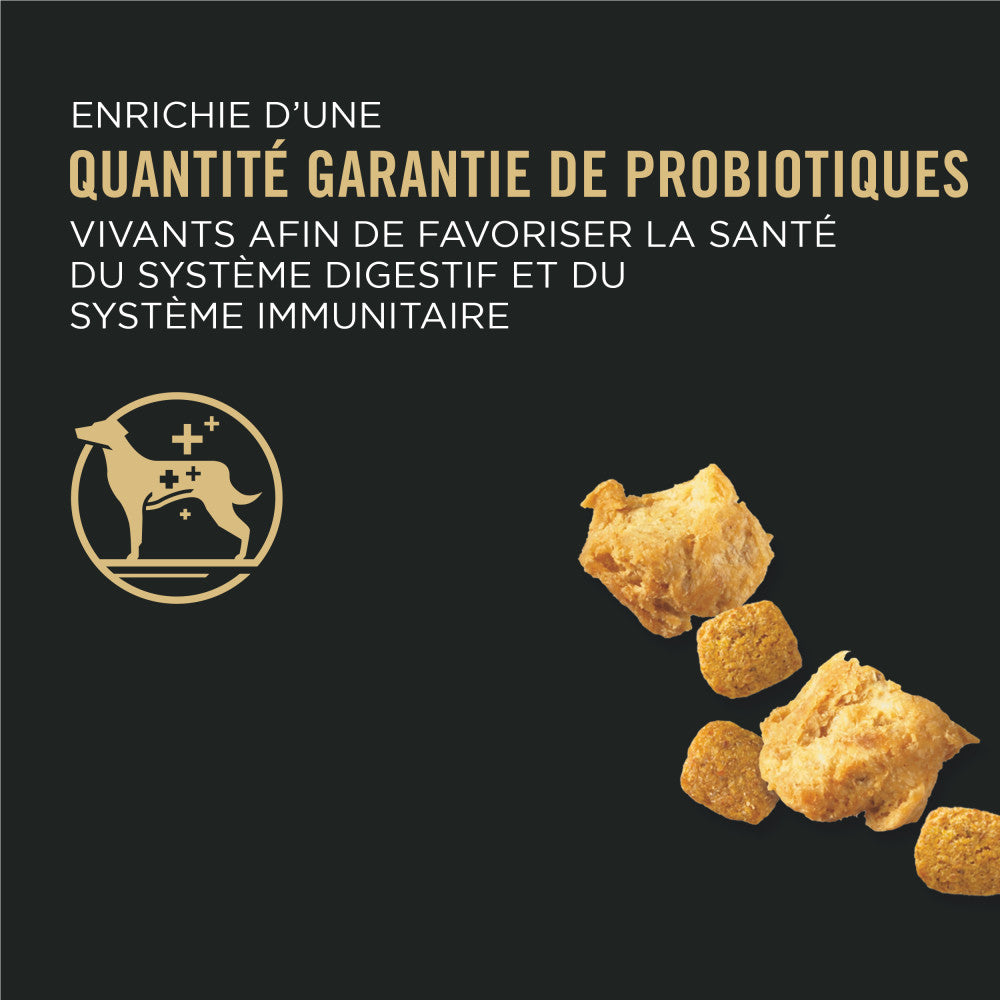 Proplan Chien Bouchées Petite Race Poulet