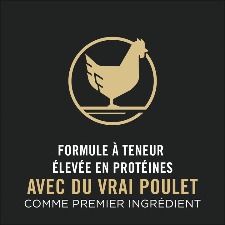 Proplan Chat Prime 7Ans+ Poulet