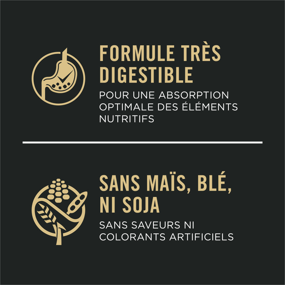 Proplan Peau et Estomac Sensible au Saumon & Riz pour Chien de Petite Race