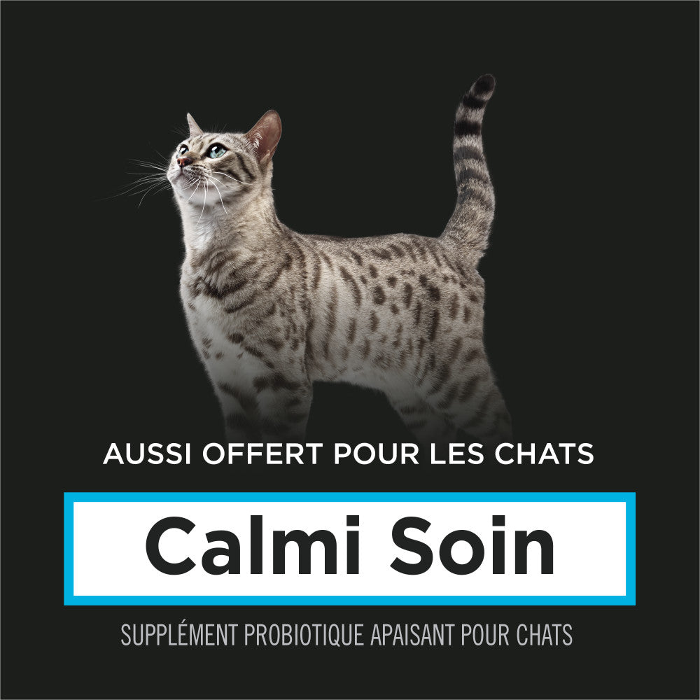 Proplan Chien Calmant Soin