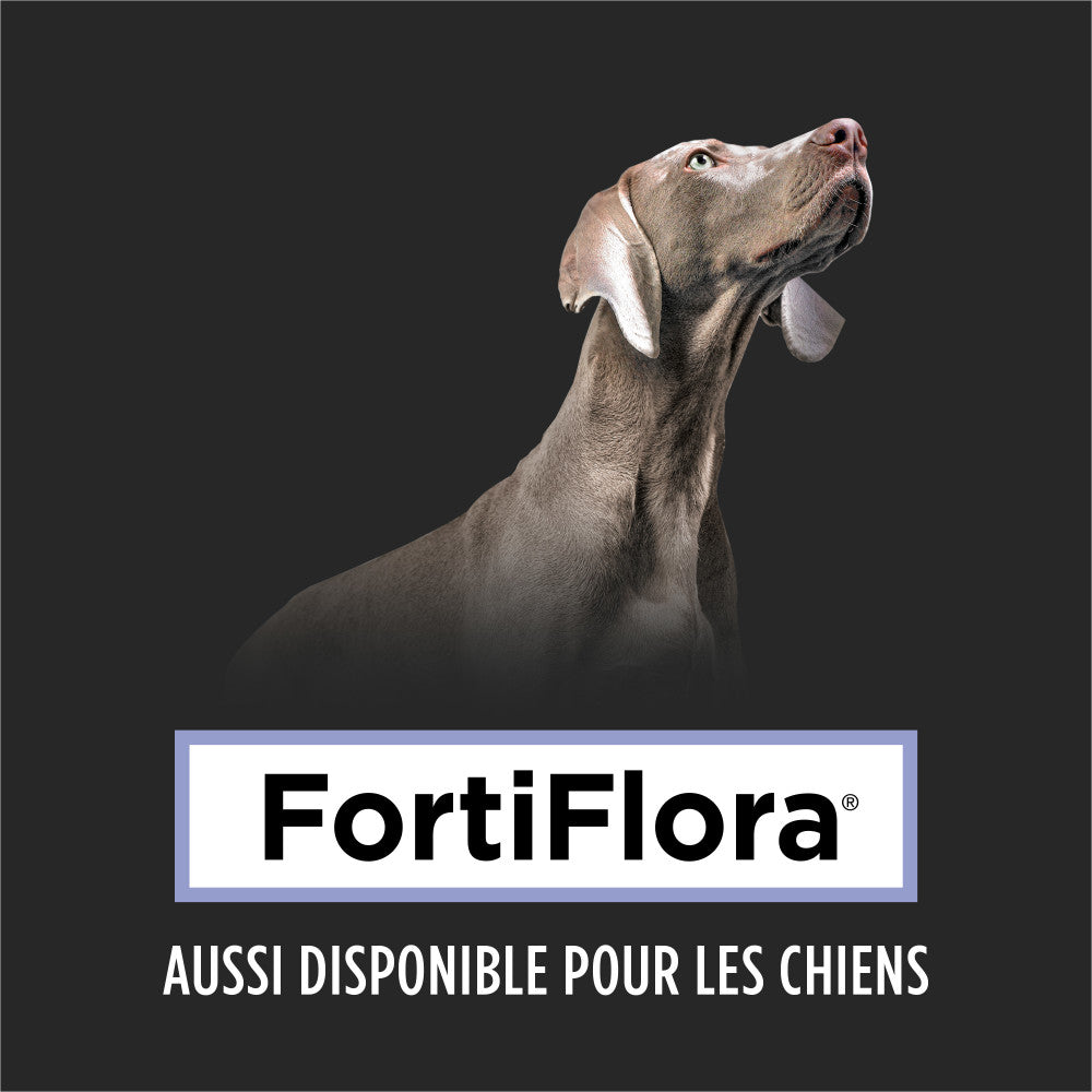 Proplan Chat Fortiflora Supplements