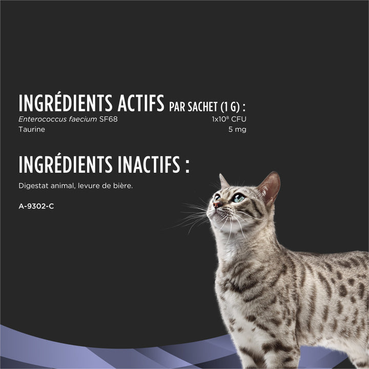 Proplan Chat Fortiflora Supplements