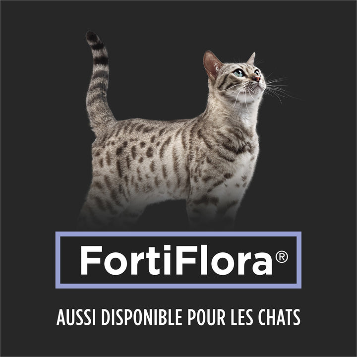 Proplan Chien Fortiflora Supplements