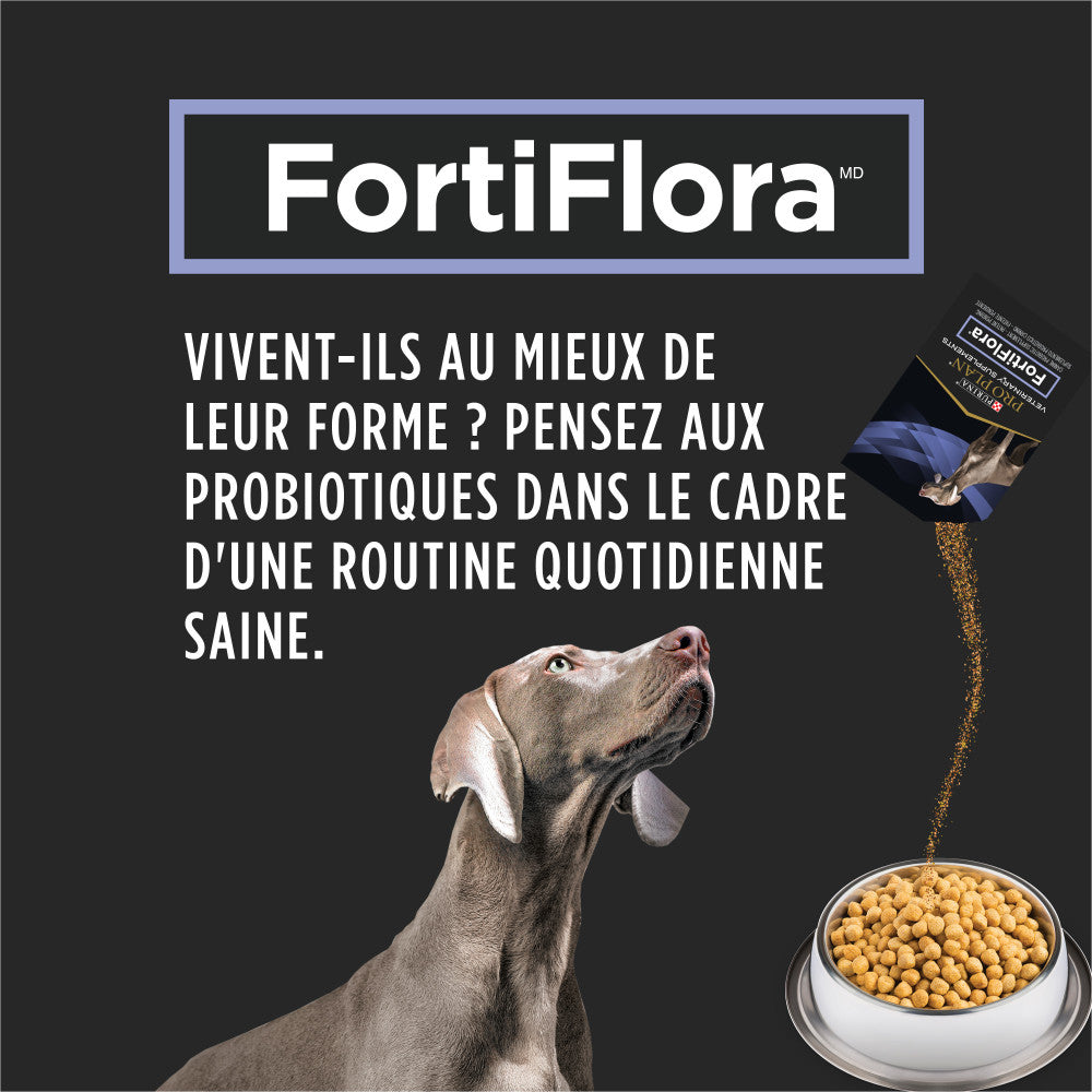 Proplan Chien Fortiflora Supplements