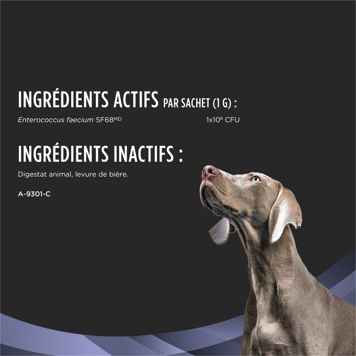 Proplan Chien Fortiflora Supplements