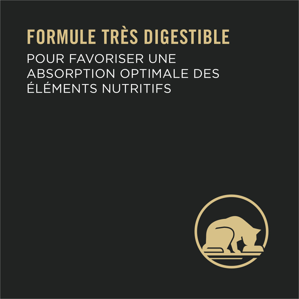 Proplan Chat Santé Urinaire Pack 12