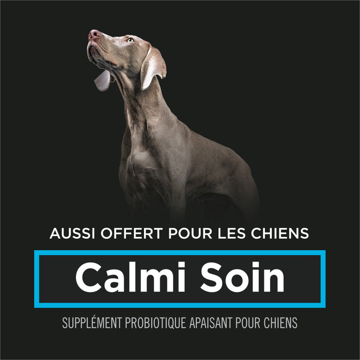 Proplan Chat Calmant Soin