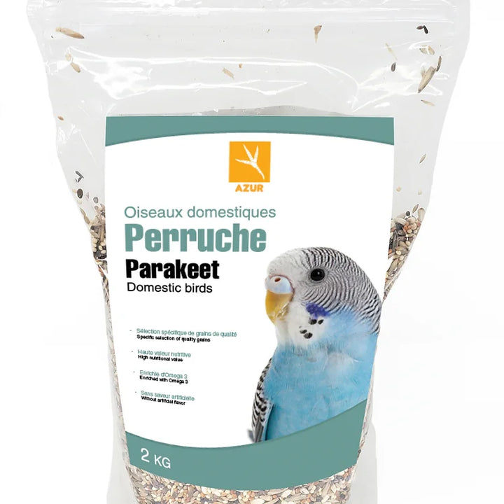 Azur Oiseau Domestique Perruche