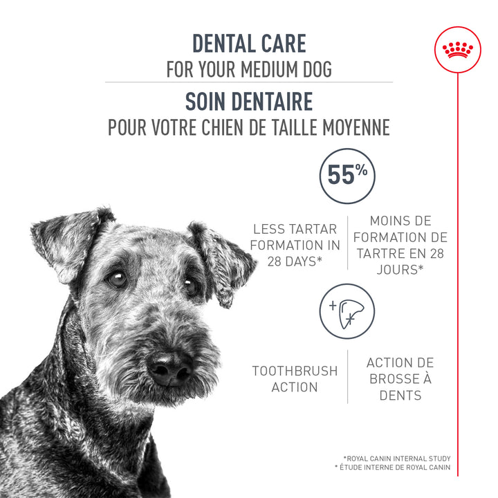 Royal Canin Chien Adulte Nourriture Sèche Moyen (Soin Dentaire)