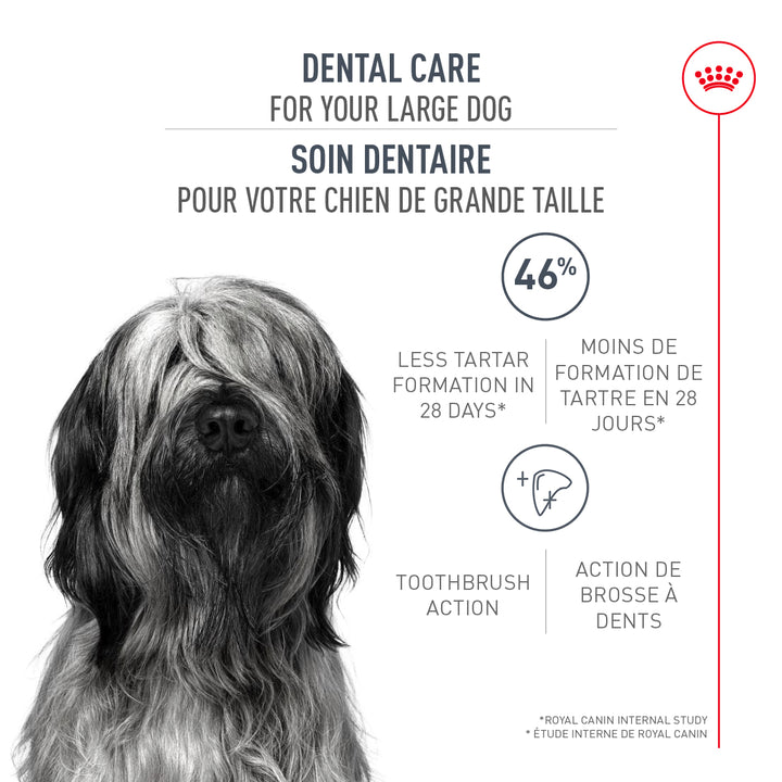 Royal Canin Chien Adulte Nourriture Sèche Grand (Soin Dentaire)