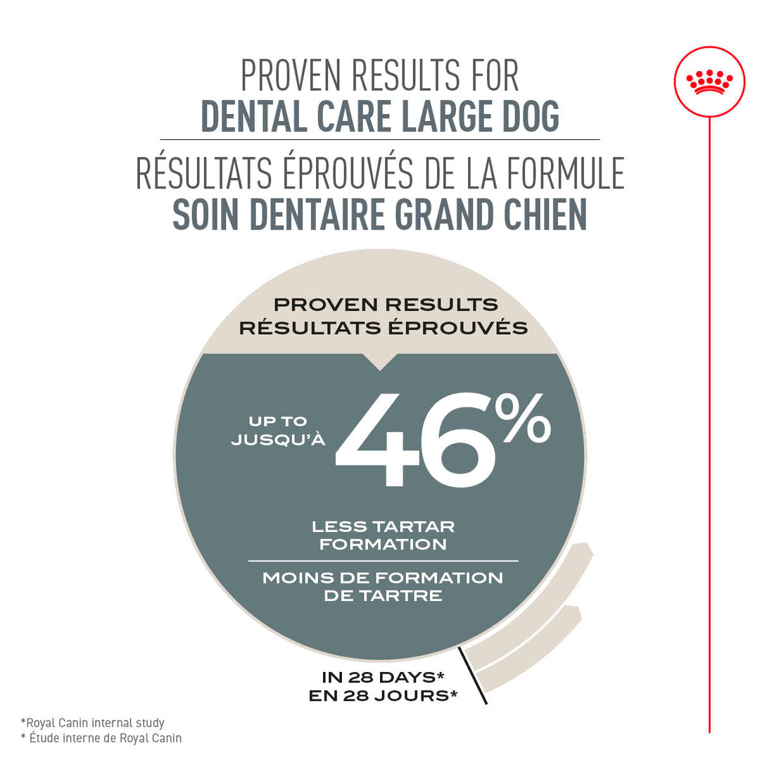 Royal Canin Chien Adulte Nourriture Sèche Grand (Soin Dentaire)
