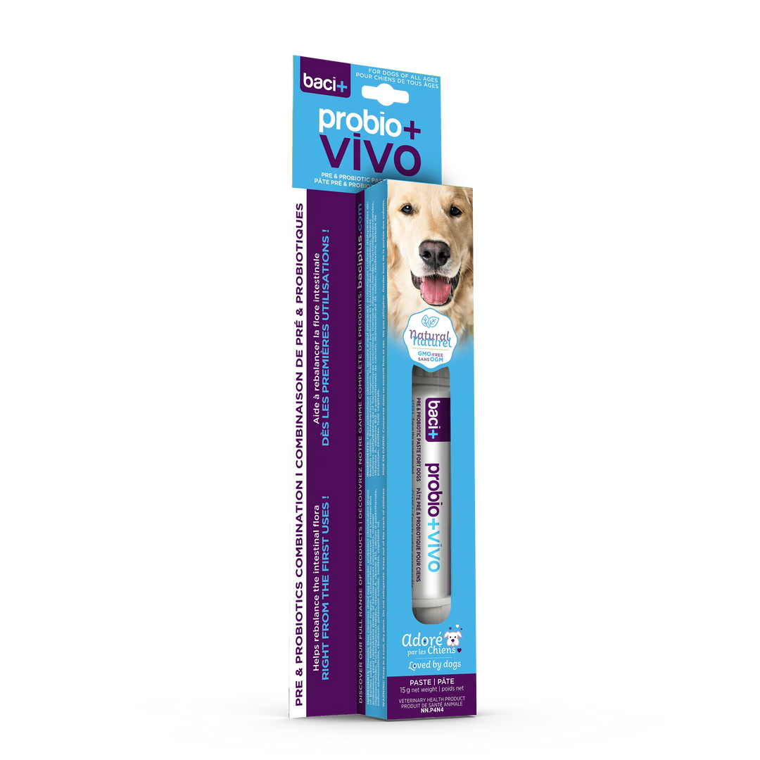 Supplément Probio+ Vivo en pâte de pré et probiotiques pour chiens et chiots