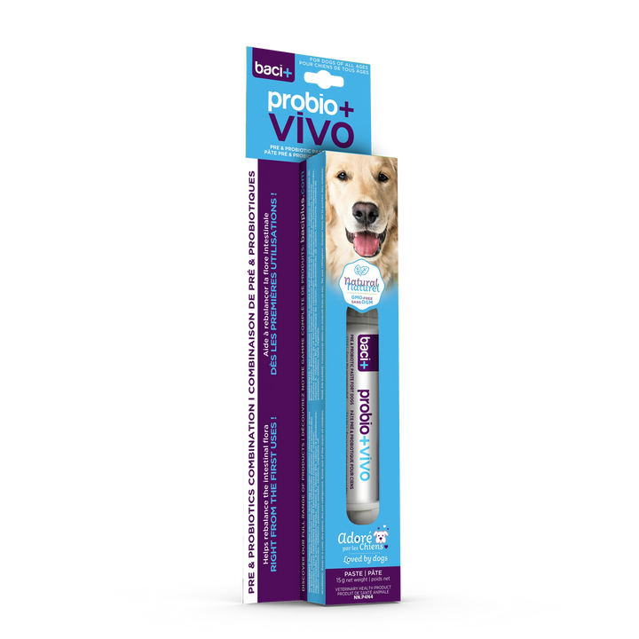 Supplément Probio+ Vivo en pâte de pré et probiotiques pour chiens et chiots