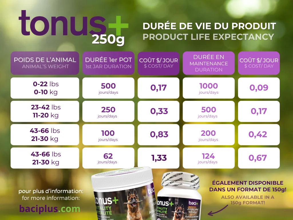Supplément Tonus+ pour la santé articulaire, la vitalité et la récupération des chiens actifs
