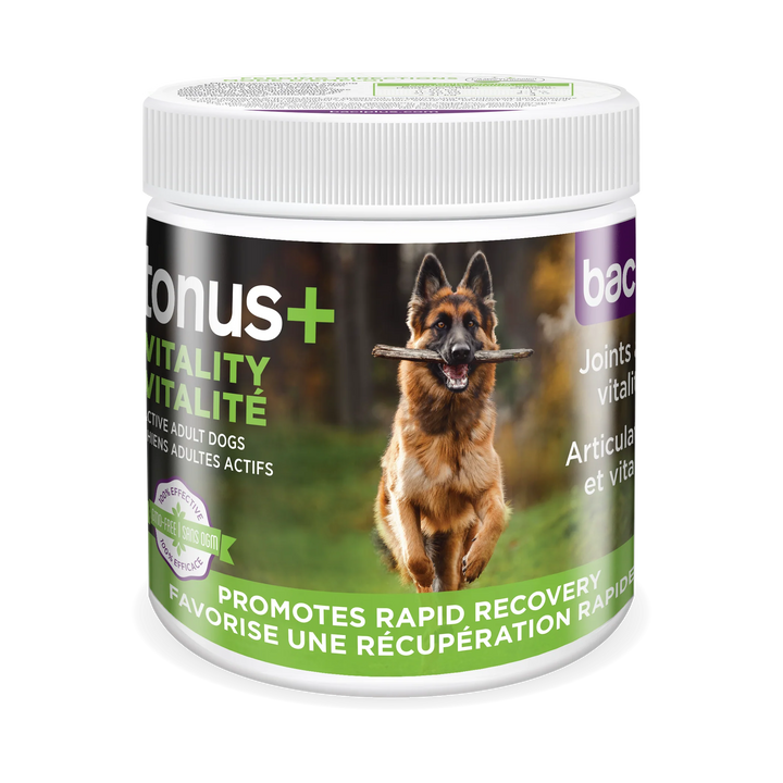 Supplément Tonus+ pour la santé articulaire, la vitalité et la récupération des chiens actifs