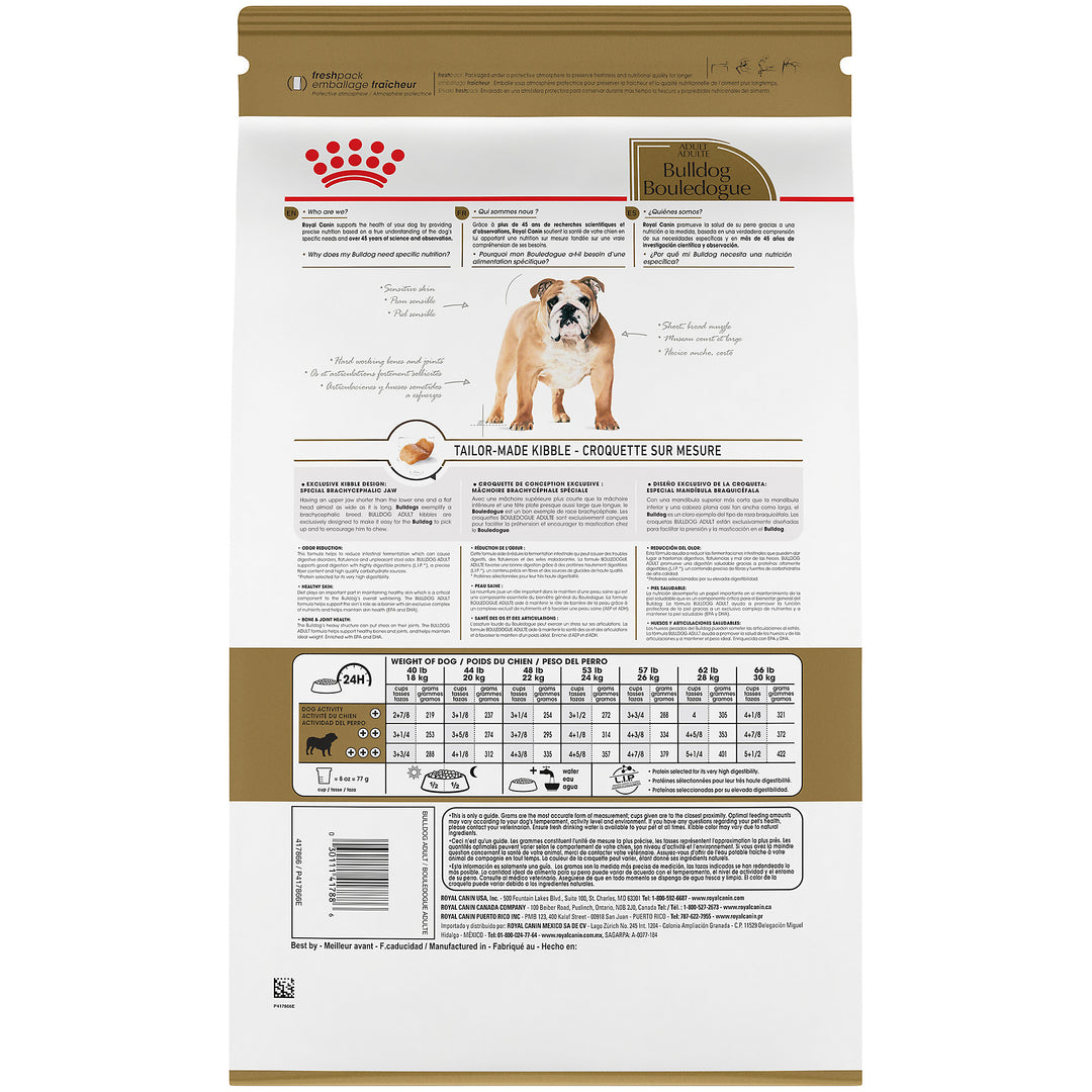 What Dry Dog Food for Adult English Bulldog: Top Healthy Picks