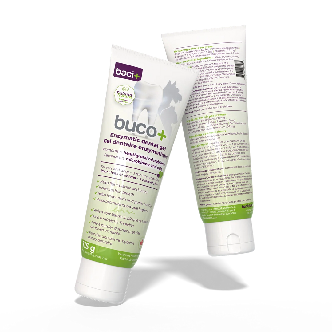 Buco+ enzymatic dental gel for oral hygiene in dogs and cats