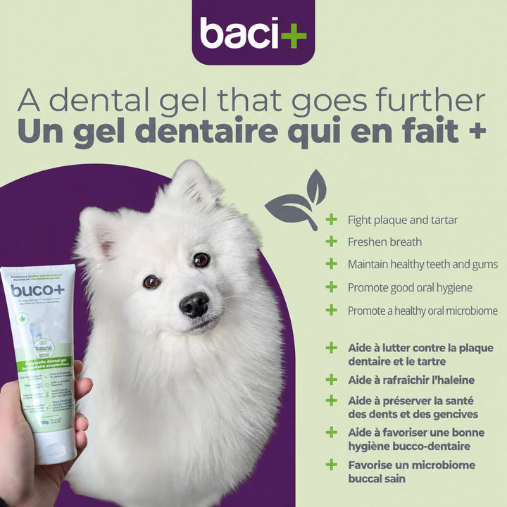 Buco+ enzymatic dental gel for oral hygiene in dogs and cats