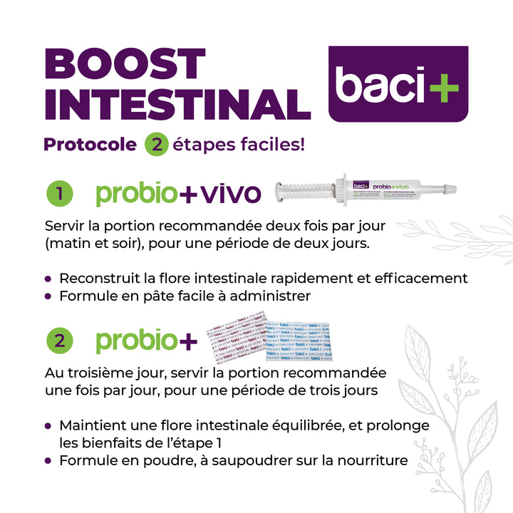 Trousse Boost Intestinal de pré et probiotiques en deux étapes pour chats et chatons