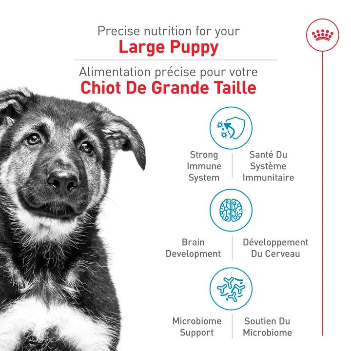Nourriture sèche pour chiots de grande race