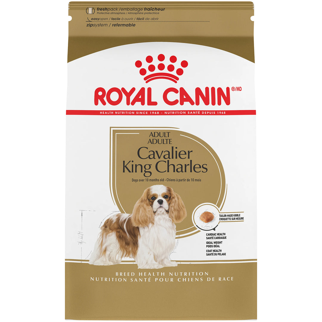 Nourriture sèche pour chiens adultes Cavalier King Charles